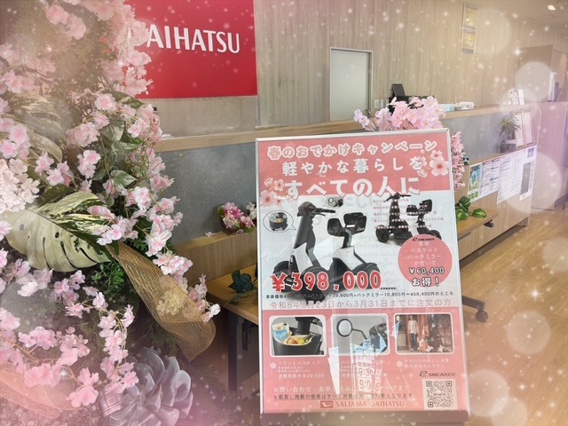 🌸春のおでかけキャンペーン🌸